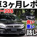 プジョー308納車3ヶ月レポート！不満があっても乗りたくなる理由。内装外装走り全て話します。