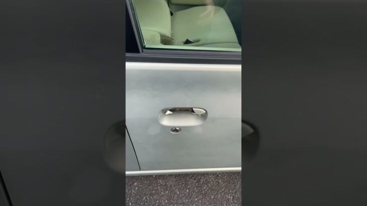 ダイハツ タント 車中泊 できるん？