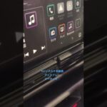 ダイハツ✴︎ハイゼットカーゴの内装✴︎9インチスマホ連携オーディオが付いてます。