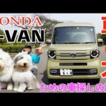 【HONDA❤️N-VAN】❣️車と犬❣️犬のための車探しの旅🌟ホンダ N VAN 最新モデル🚙大型犬のオハナとパトラは🐶果たして❗️この車を気に入ってくれたのか⁉️初車レビュー😃