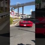 【神回すぎ】フェラーリF50.F40合計4台が一斉に大黒ダッシュ！！！