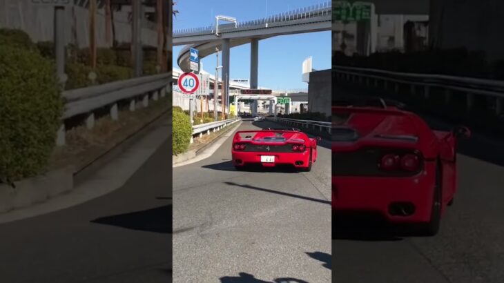 【神回すぎ】フェラーリF50.F40合計4台が一斉に大黒ダッシュ！！！