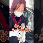 【お車だけじゃなくやっぱり可愛いスズキ ラパン】ラパン専用のカバーからキーホルダーまで！ #ラパン
