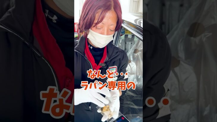 【お車だけじゃなくやっぱり可愛いスズキ ラパン】ラパン専用のカバーからキーホルダーまで！ #ラパン