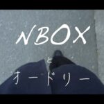 【vlog】NBOXcustom納車とオードリーANNin東京ドームの一日#nboxカスタム #車中泊 #オードリーのオールナイトニッポン