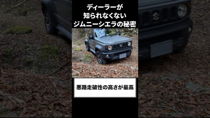 ディーラーが知られたくないジムニーシエラの秘密。#shorts #ジムニーシエラ #ジムニー #jimnysierra  #suzuki #口コミ