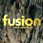 【fusion】新店舗のご案内/Spiegel コンプリートカー