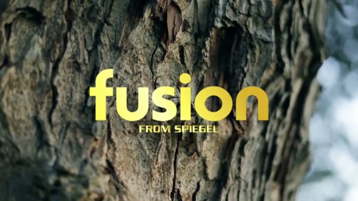 【fusion】新店舗のご案内/Spiegel コンプリートカー