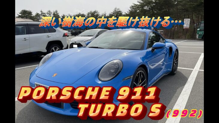 【輸入車試乗】Porsche 911 Turbo S(992型)で国道139号線青木ヶ原樹海を走り抜ける(一般道での走り口や如何に…)