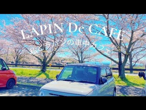 私とラパンの車中カフェ☕️桜を見ながら車中カフェ🌸