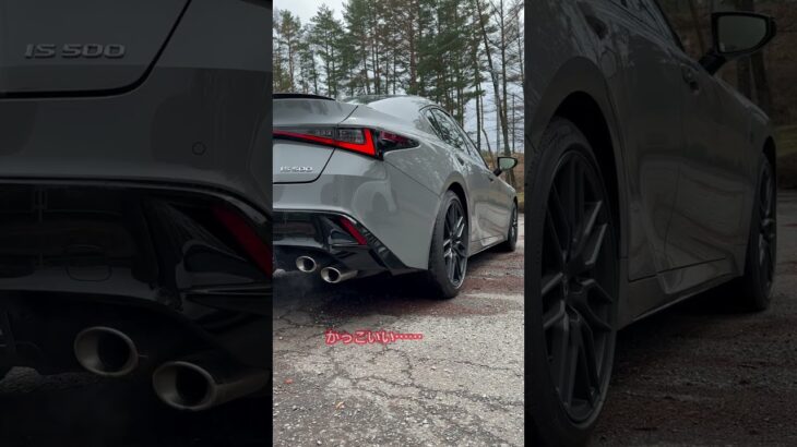 サウンド比較！レクサスIS500&アルファロメオ ジュリア クアドリフォリオ #lexus #alfaromeo #レクサス #アルファロメオ #IS500 #giulia