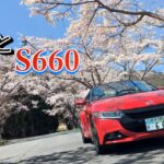 2024年 桜-SAKURA- S660