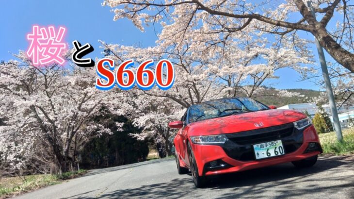 2024年 桜-SAKURA- S660