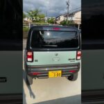 ハスラータフワイルド、納車！