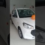 New Alto K10 2024 Model | Maruti Suzuki K-10 VXI Plus | #k10 #alto #shorts