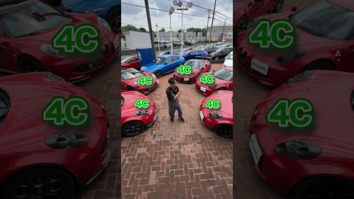 入庫中の4Cをご紹介！ #alfaromeo #4c #フラミンゴ