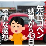 17年落ち先代コペン納車から43日、率直な感想語ります。,DAIHATSU,COPEN,L880K,MAZDA2,ヒューズ交換,シートベルト洗浄,554