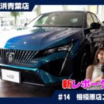 スタッフが語る！プジョー車の魅力とおすすめポイント