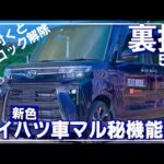 【DAIHATSU隠しコマンドいくつ知っている？タフト、キャンバス、ロッキーなどなど】知って得する便利機能。