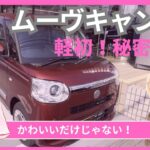 【ムーブキャンバス 】かわいいだけじゃない！秘密の〇〇をご紹介