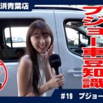 プジョー車ってどんな車？知らないと損する3つの豆知識！