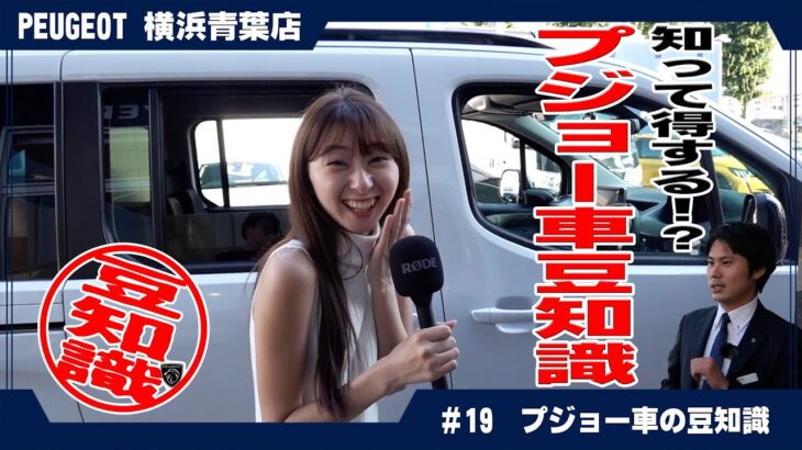 プジョー車ってどんな車？知らないと損する3つの豆知識！