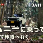 【JIMNY】ジムニーに乗って初めて林道へ行く【JA11】