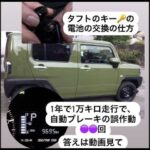 タフトのキーの電池の替え方。自動ブレーキシステムの誤作動●●回