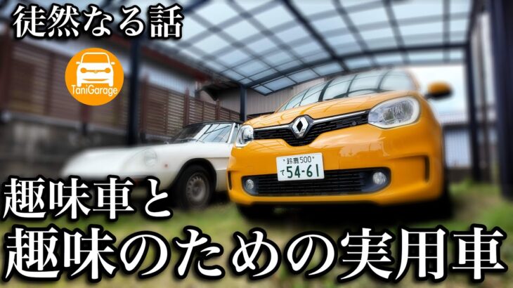 徒然なる話　趣味車と趣味のための実用車 Renault TWINGO S