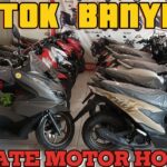 UPDATE STOK MOTOR HONDA TERBARU 2024