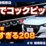 【カーオブザイヤー受賞車】プジョー208を今すぐ手に入れたいあなたへ！