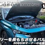 【プジョー308SW】 高価なバッテリーを長もちさせよう！【パルス充電器・小ネタ集】