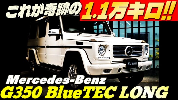 【奇跡の1.1万キロ】メルセデスベンツ G350 ブルーテック ロング　徹底解説!