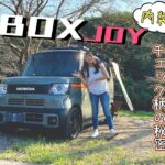 【内装編】HONDA N-BOX JOY/ホンダ エヌボックス ジョイ,チェック柄の秘密が解明！内装の使い勝手徹底レビュー！