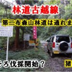 【林道】 実は２本連結だった林道古越線 ジムニー 2024/9/4-2　Suzuki Jimny 660cc Off-road Mania