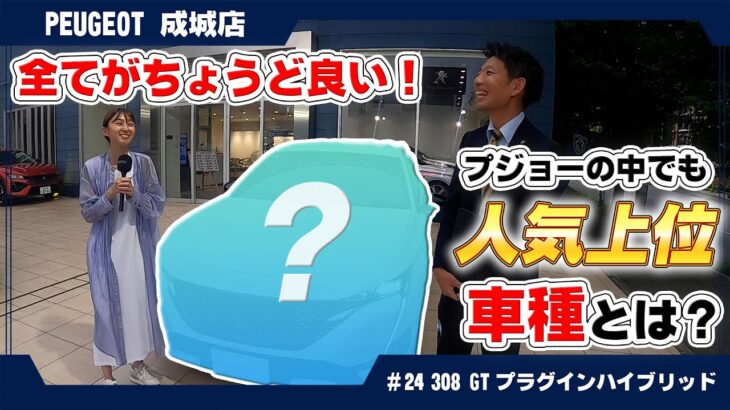 全てがちょうど良い！プジョーの中でも人気上位 車種とは？