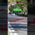 250ps! Alfa Romeo 147GTA#automobile #147 #アルファロメオ