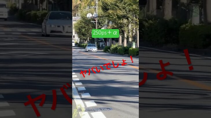 250ps! Alfa Romeo 147GTA#automobile #147 #アルファロメオ