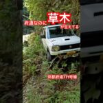 道中に草木が生えてる京都府道を走る（福井県道・京都府道771号名田庄綾部線）　#jimny #offroad #ジムニー #オフロード #クロカン #四駆 #4wd #酷道 #険道 #廃道 #京都府