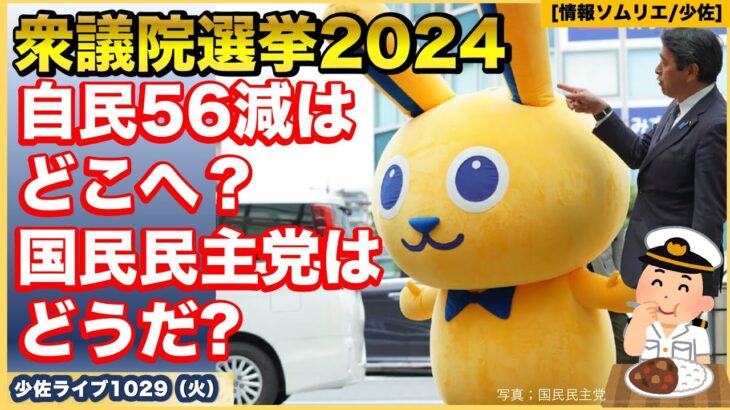 【衆院選2024】【大注目】自民56減の議席はどこへ？【こくみんうさぎ】国民民主党はどうだ？衆院選2024の投票結果からぐだぐだ考える！？【情報ソムリエ・少佐】【2024/10/29火】