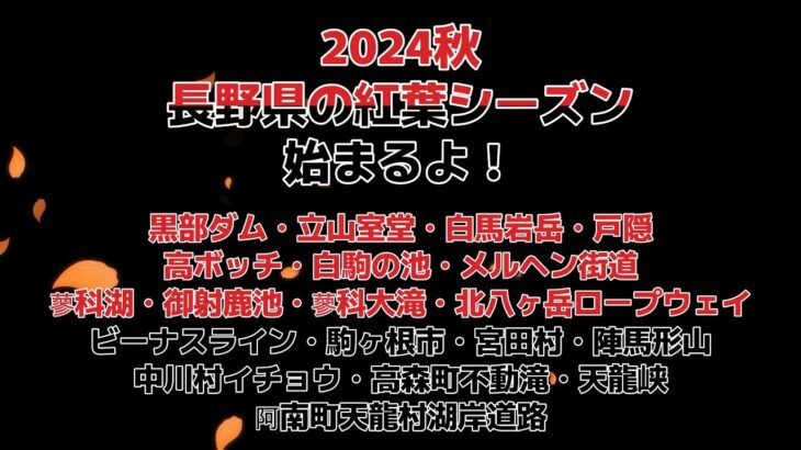 2024秋　長野県の紅葉シーズン始まるよ！コペンGR