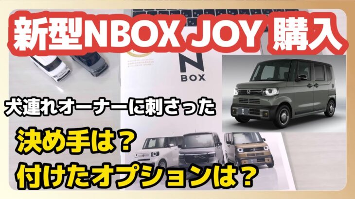 新型NBOX JOY購入した話(決め手は？付けたオプションは？)