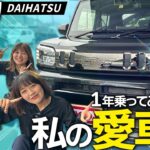 【タフトが愛車】購入から1年！リアルな感想と使用感を徹底レビューします！【DAIHATSU TAFT】