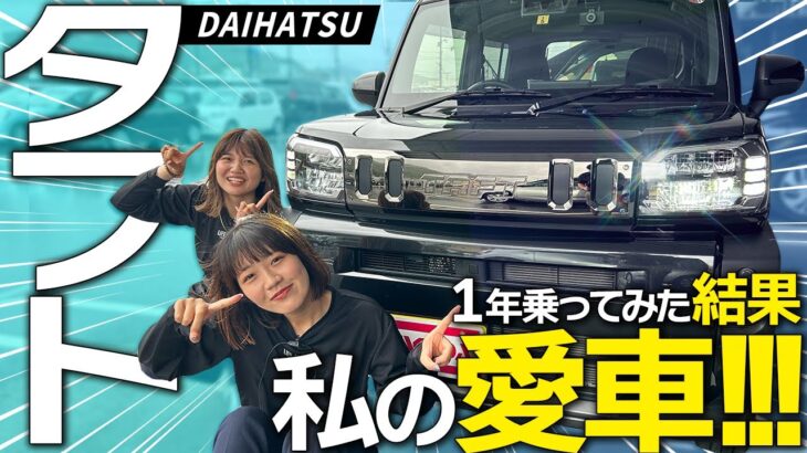 【タフトが愛車】購入から1年！リアルな感想と使用感を徹底レビューします！【DAIHATSU TAFT】