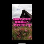 【飛騨高山】電気自動車に優しい県を日産サクラでドライブ