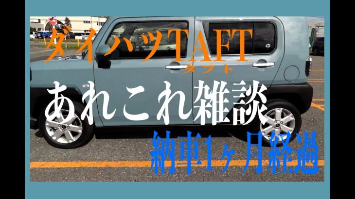 【ダイハツタフト】納車1ヶ月経過雑談