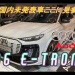 【輸入車試乗】最新型Audi Q6 e tronを初めて見かける