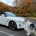 HONDA S660でドライブ行ってきた。