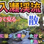 奥入瀬渓流　１０分で見る 散策   少しだけ紅葉してました  青森県観光　軽バン アトレーの旅　青森観光