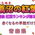 蔦沼の紅葉　青森県　蔦沼の紅葉は赤くない。　つたぬま　紅葉　軽バン　アトレー　青森の旅